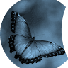 Nabi Blu