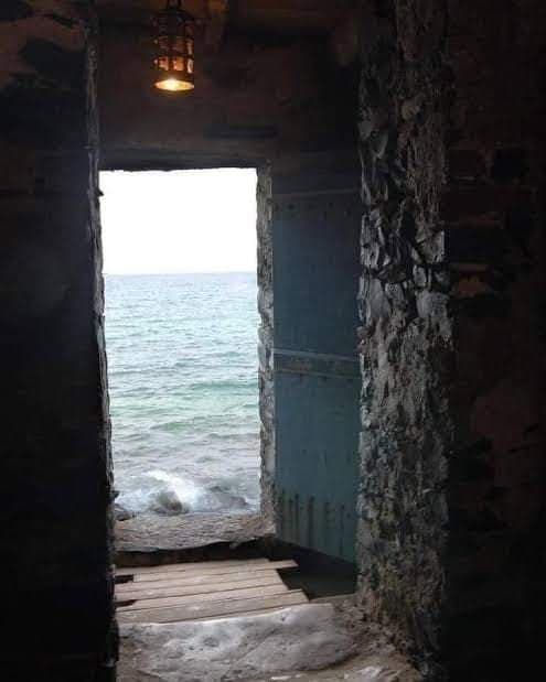 Cover of Old Soul